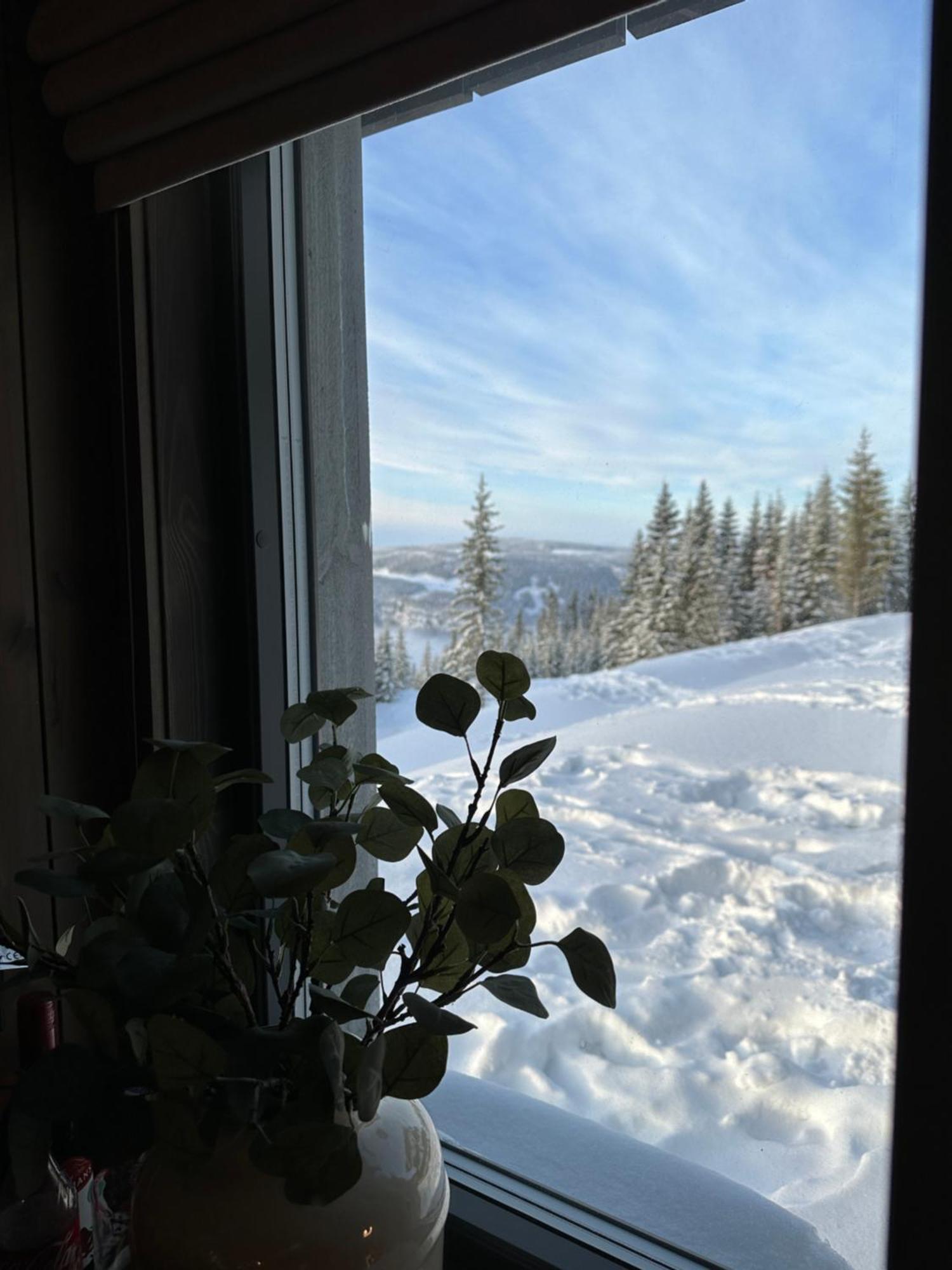 Hafjell Front 8Pers, Ski In/Out. Downhill Bike Экстерьер фото